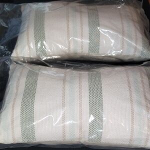 Stylish Cream and Green Striped Cushions